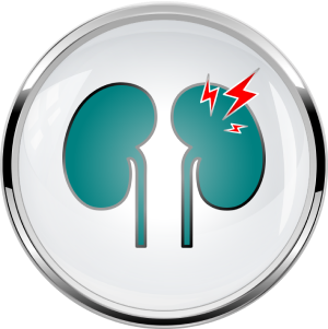Kidney injury icon